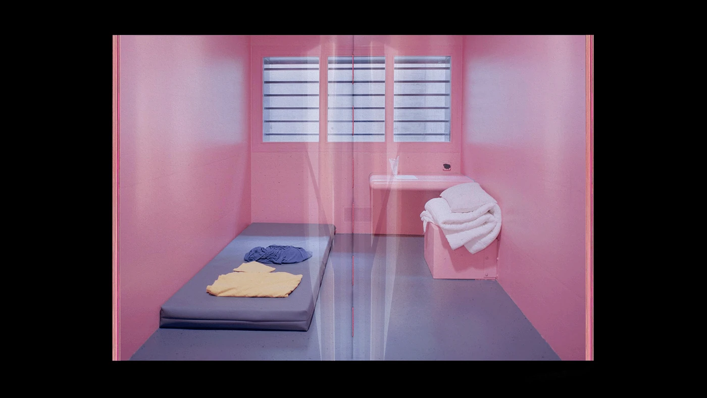 Pink Sedation — image 9